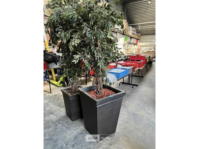 1x benjamin kunstplant h200 cm - afbeelding 1 van  3