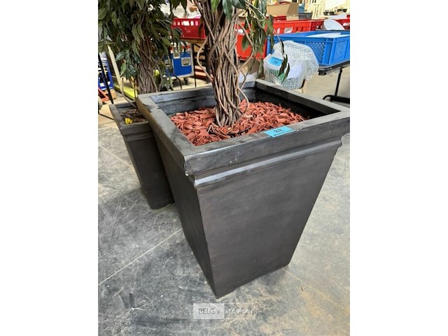 1x benjamin kunstplant h200 cm - afbeelding 2 van  3