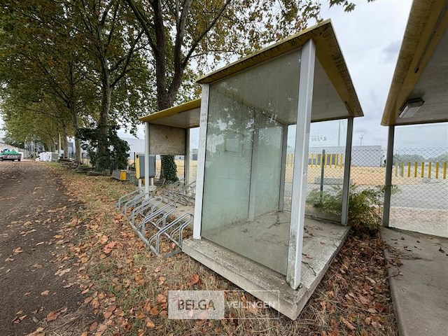 1x bushokje l300 x b140 x h210 cm - afbeelding 2 van  3