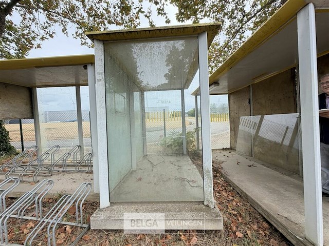 1x bushokje l300 x b140 x h210 cm - afbeelding 3 van  3