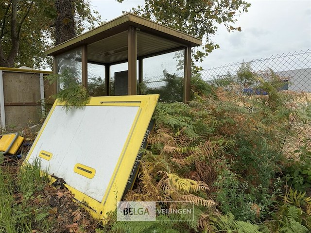 1x bushokje l300 x b140 x h210 cm - afbeelding 4 van  5