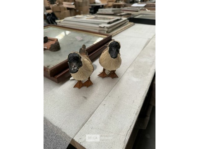 1x doos met eendjes - afbeelding 2 van  2