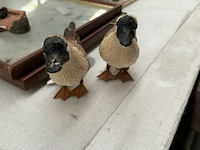 1x doos met eendjes - afbeelding 2 van  2