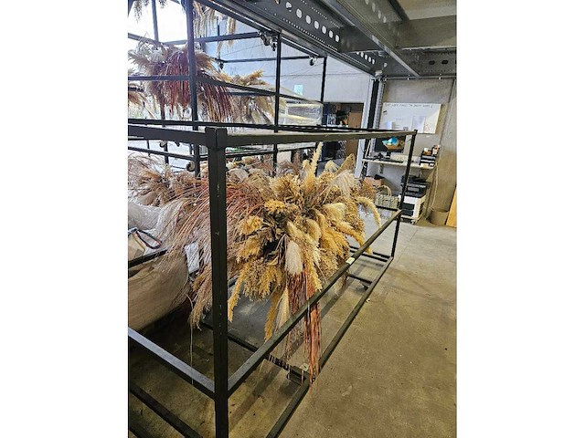 1x pampas en droogbloem wolk 280cm (hangend) - afbeelding 2 van  6