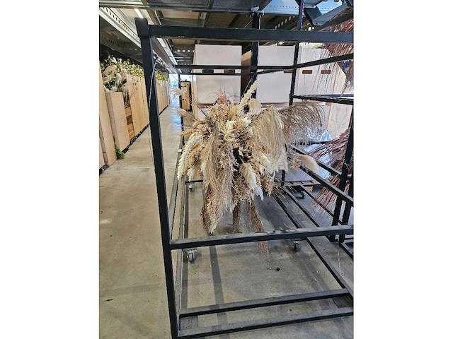 1x pampas en droogbloem wolk 280cm (hangend) - afbeelding 3 van  6