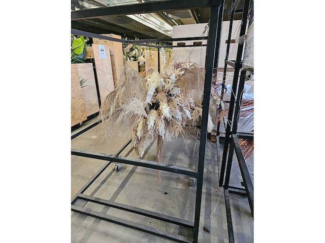 1x pampas en droogbloem wolk 280cm (hangend) - afbeelding 4 van  6