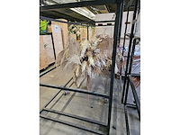 1x pampas en droogbloem wolk 280cm (hangend) - afbeelding 4 van  6