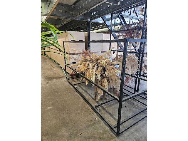 1x pampas en droogbloem wolk 280cm (hangend) - afbeelding 5 van  6