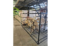 1x pampas en droogbloem wolk 280cm (hangend) - afbeelding 5 van  6