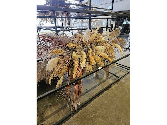 1x pampas en droogbloem wolk 280cm (hangend) - afbeelding 1 van  6