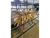 1x pampas en droogbloem wolk 280cm (hangend) - afbeelding 1 van  6