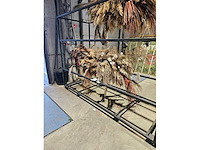 1x pampas en droogbloem wolk 280cm (hangend) - afbeelding 6 van  6