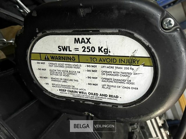 1x prostar motor 250kg takel - afbeelding 2 van  9