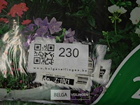 1x20l universele potgrond - afbeelding 4 van  4