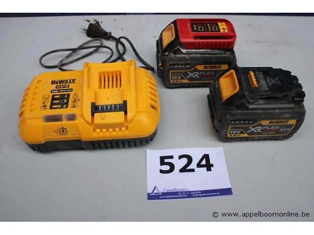 2 batterijen plus oplader dewalt, werking niet gekend - afbeelding 1 van  3