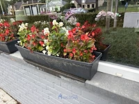 2 bloempotten en circa 9 bloembakken - afbeelding 2 van  14