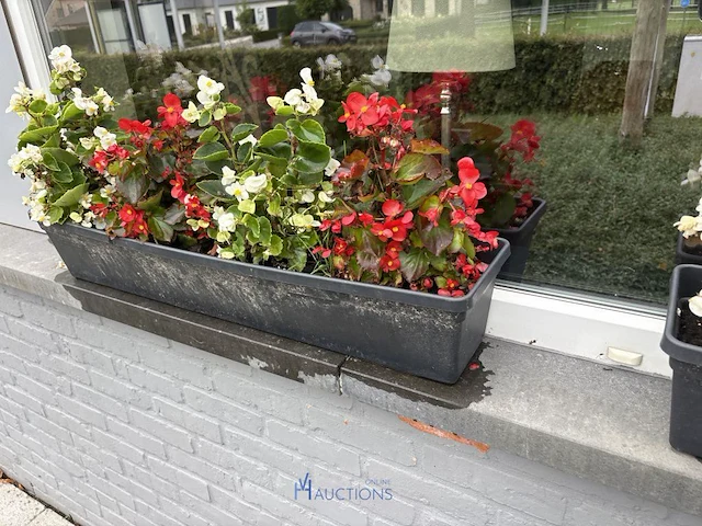 2 bloempotten en circa 9 bloembakken - afbeelding 3 van  14