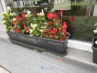 2 bloempotten en circa 9 bloembakken - afbeelding 3 van  14