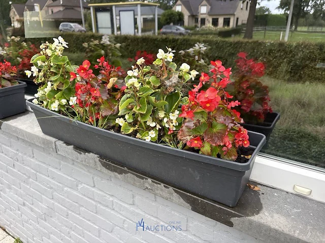 2 bloempotten en circa 9 bloembakken - afbeelding 5 van  14