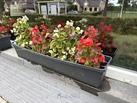 2 bloempotten en circa 9 bloembakken - afbeelding 5 van  14