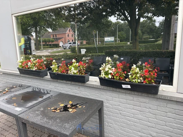 2 bloempotten en circa 9 bloembakken - afbeelding 1 van  14