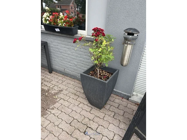 2 bloempotten en circa 9 bloembakken - afbeelding 8 van  14