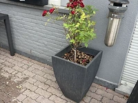 2 bloempotten en circa 9 bloembakken - afbeelding 8 van  14