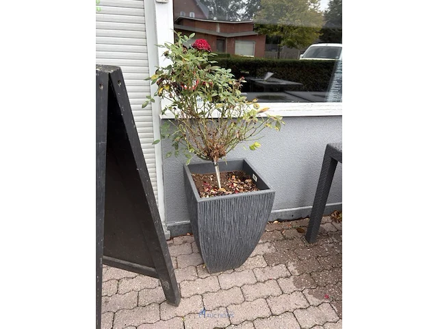 2 bloempotten en circa 9 bloembakken - afbeelding 9 van  14