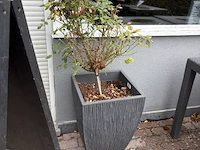 2 bloempotten en circa 9 bloembakken - afbeelding 9 van  14