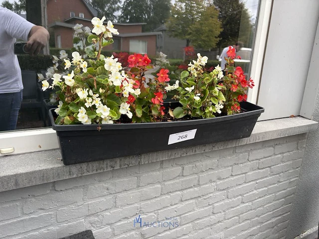 2 bloempotten en circa 9 bloembakken - afbeelding 10 van  14