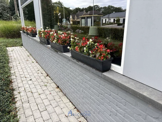 2 bloempotten en circa 9 bloembakken - afbeelding 13 van  14