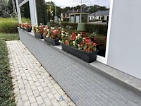 2 bloempotten en circa 9 bloembakken - afbeelding 13 van  14
