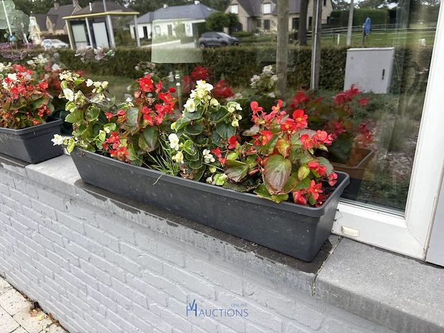 2 bloempotten en circa 9 bloembakken - afbeelding 14 van  14