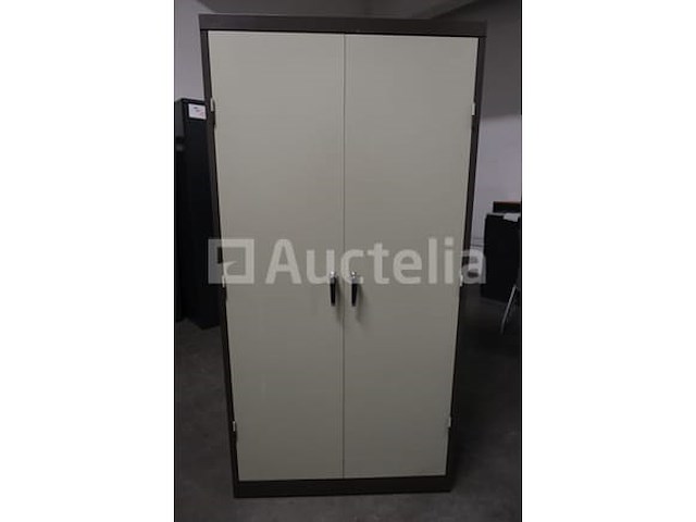 2-deurs metalen kast - afbeelding 1 van  5