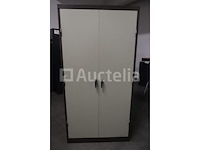 2-deurs metalen kast