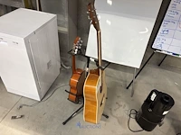 2 diverse gitaren