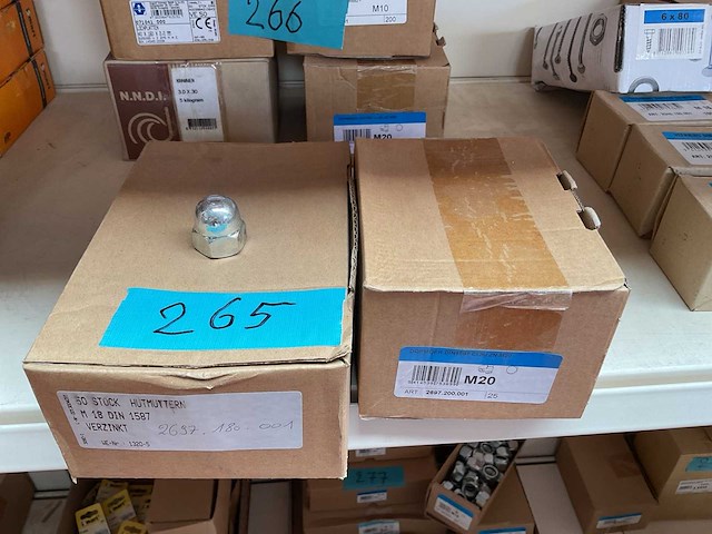 2 dozen bolmoeren - afbeelding 1 van  4