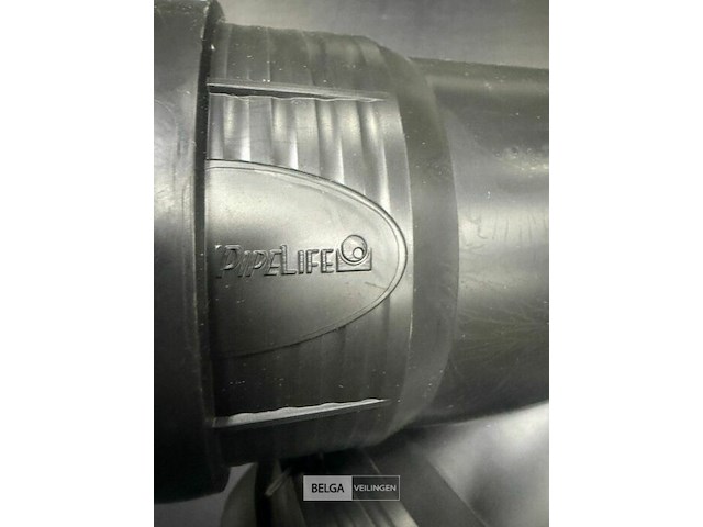 2 dozen masterplus - afbeelding 2 van  4