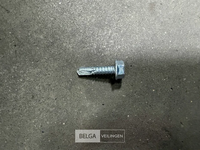 ± 2 dozen zelfborende zeskantschroeven - afbeelding 1 van  2