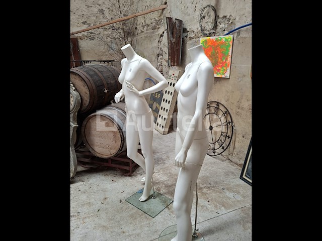 2 etalagepinnen - afbeelding 1 van  1