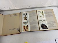 2 fort plakboeken (volledig) - afbeelding 2 van  3
