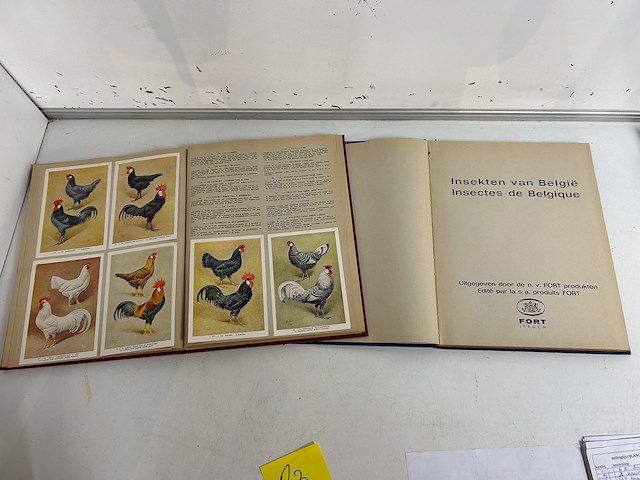 2 fort plakboeken (volledig) - afbeelding 3 van  3