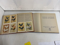 2 fort plakboeken (volledig) - afbeelding 3 van  3