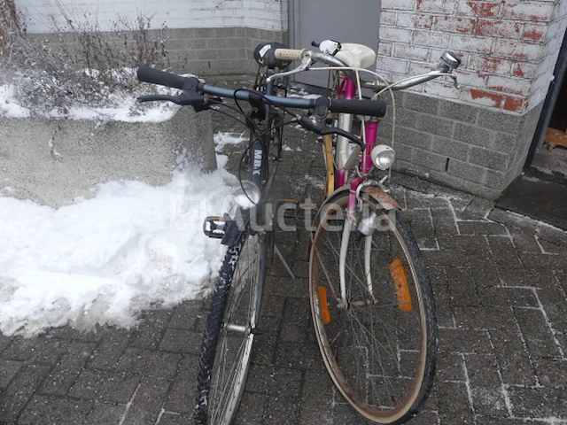 2 gemengde motoren (010871-047) - afbeelding 1 van  3