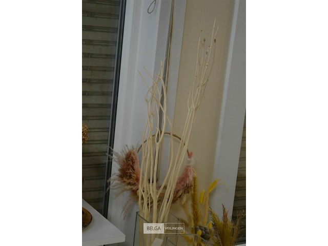 2 glazen kokervazen 80 hoog - afbeelding 3 van  4