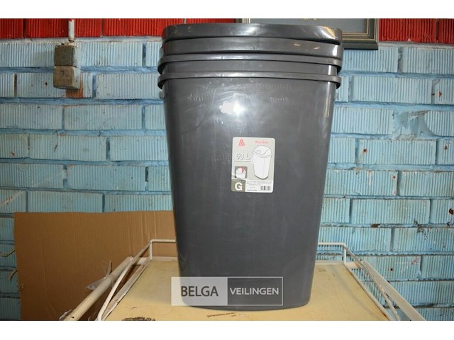 2 grijze vuilnisbakken 60l - afbeelding 1 van  2
