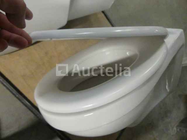 2 hangende toiletpotten - afbeelding 3 van  11