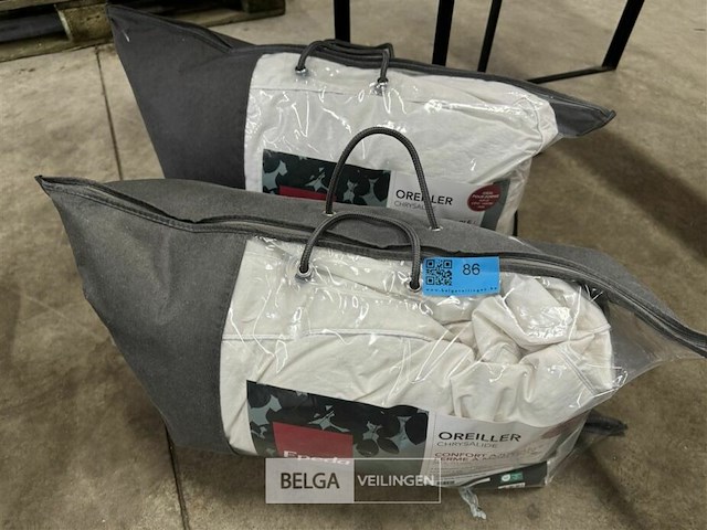 2 hoofdkussens oreiller - afbeelding 1 van  4