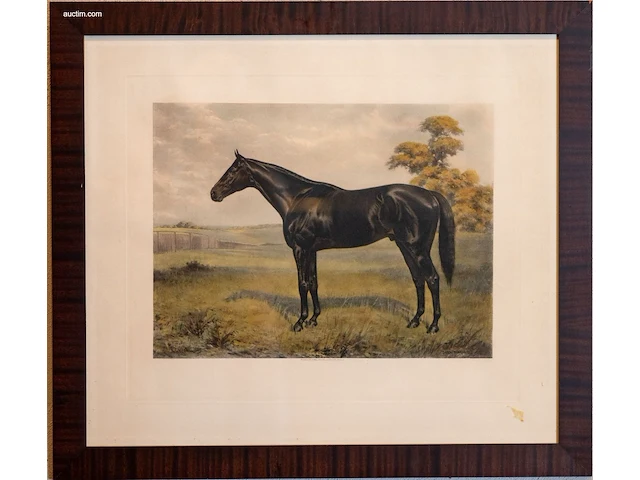 2 ingelijste antieke aquatint-prenten/gravures... - afbeelding 2 van  5