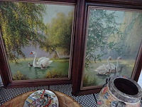 2 kaders zwanen - afbeelding 1 van  2